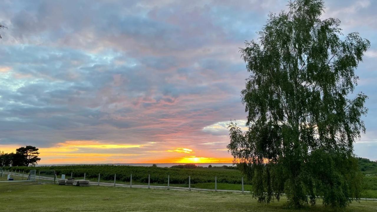 Domki Letniskowe Mts Sloneczne Wzgorze Tolkemit Exterior foto