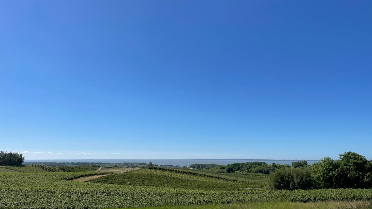 Domki Letniskowe Mts Sloneczne Wzgorze Tolkemit Exterior foto